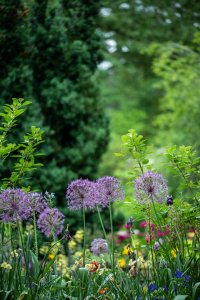 erdaestremera0ZxdAGG4aWUunsplash.jpg
