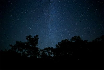 natureforestskynightstarmilkyway1095904pxhere.com_copie.jpg