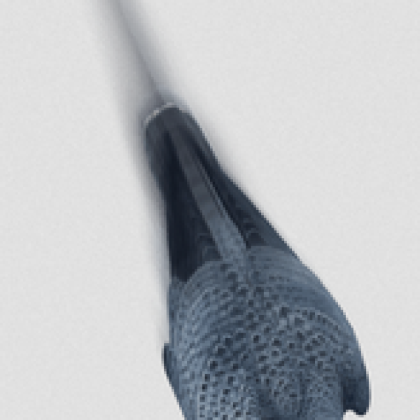 Le pèlerin