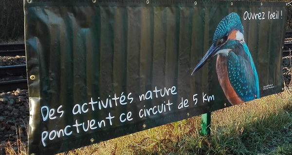 image panneau_martin_pecheur2.jpg (95.1kB)